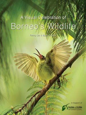 cover image of Visual Celebration of Borneo's Wildlife